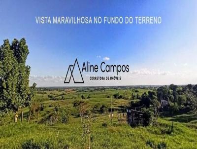 Ch�cara para Venda, em , bairro FLORESTA DO SUL