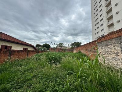 Terreno para Venda, em Presidente Prudente, bairro JARDIM PAULISTA