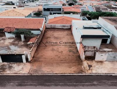 imagem-miniatura